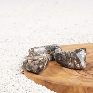 Fossil Stone - Natural Stone