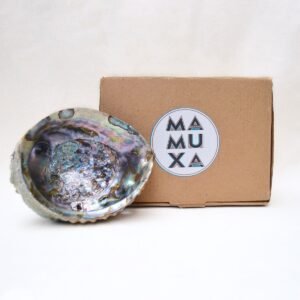 Natural Abalone Sea Shell Incense Holder