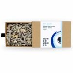 nazar_02_IMG_2769_nazar-scaled-1